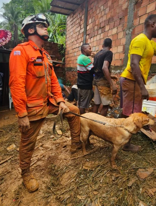 Resgate de vítimas em Salvador evidencia trabalho especializado de bombeiros militares